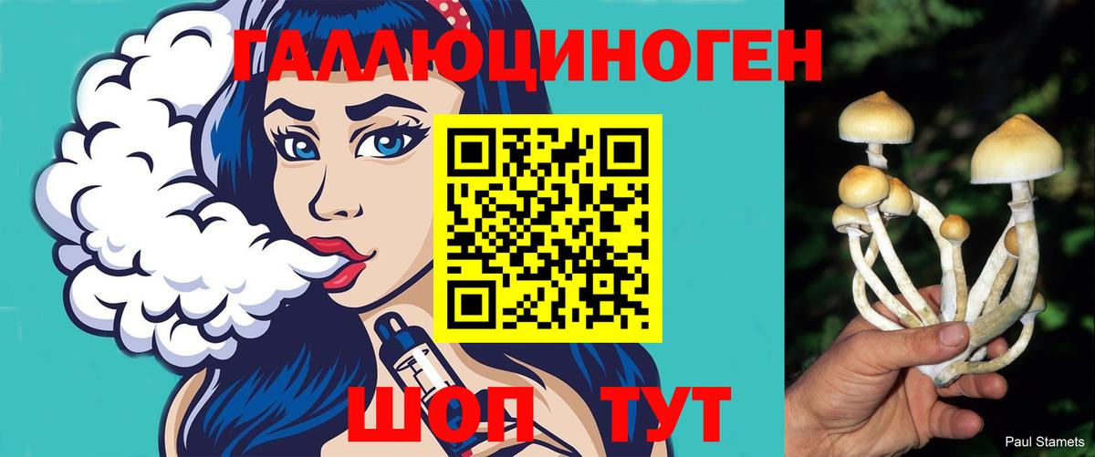 Псилоцибиновые грибы мухоморы  наркошоп  Реж  Вход с VPN 